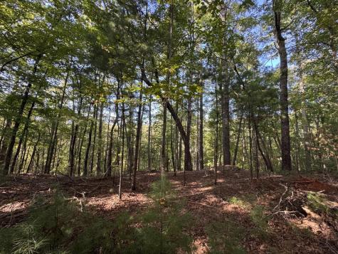 73-76 Peach Lane Ellijay GA 30536