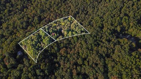 73-76 Peach Lane Ellijay GA 30536