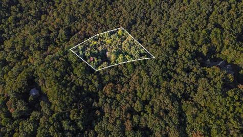 73-76 Peach Lane Ellijay GA 30536