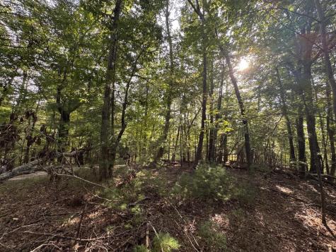 73-76 Peach Lane Ellijay GA 30536
