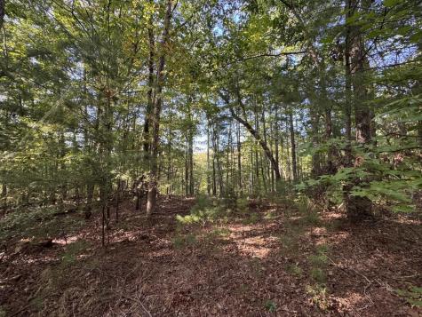 73-76 Peach Lane Ellijay GA 30536