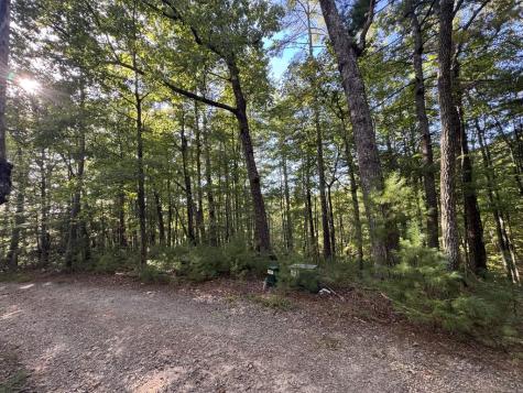 73-76 Peach Lane Ellijay GA 30536