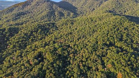 73-76 Peach Lane Ellijay GA 30536