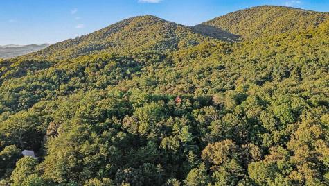 73-76 Peach Lane Ellijay GA 30536