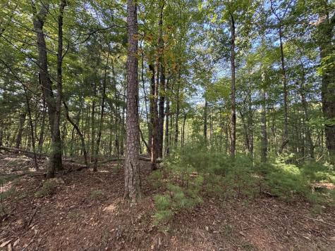 73-76 Peach Lane Ellijay GA 30536