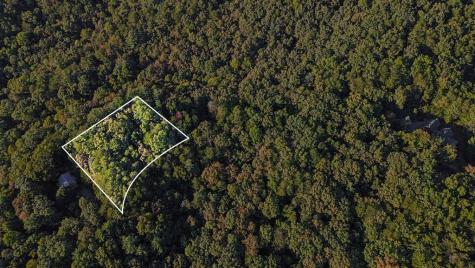 73-76 Peach Lane Ellijay GA 30536