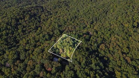 73-76 Peach Lane Ellijay GA 30536