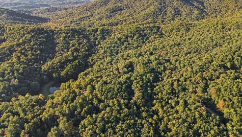 73-76 Peach Lane Ellijay GA 30536