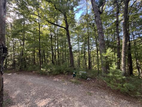 73-76 Peach Lane Ellijay GA 30536