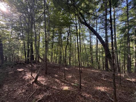 73-76 Peach Lane Ellijay GA 30536