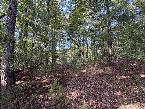 73-76 Peach Lane Ellijay GA 30536