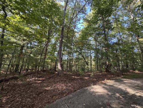 73-76 Peach Lane Ellijay GA 30536