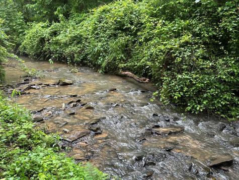 Lot 103 Rhondas Way Ellijay GA 30540