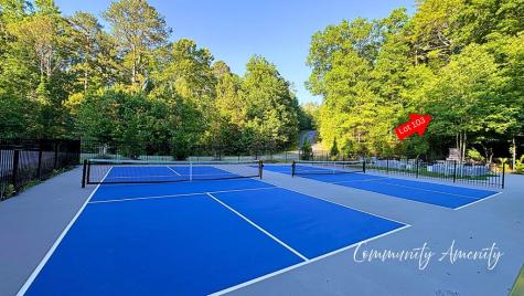 Lot 103 Rhondas Way Ellijay GA 30540