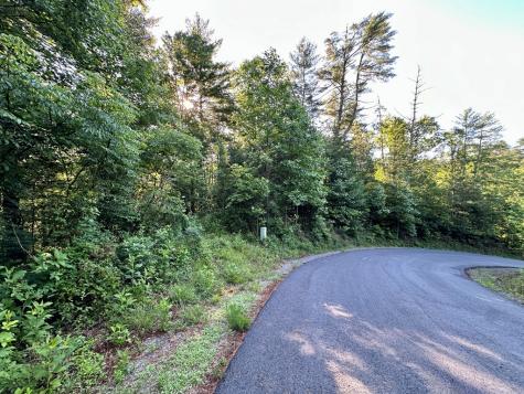 Lot 103 Rhondas Way Ellijay GA 30540