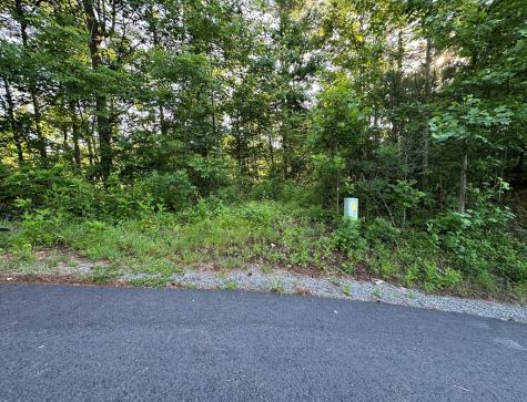Lot 103 Rhondas Way Ellijay GA 30540