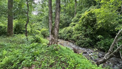 Lot 103 Rhondas Way Ellijay GA 30540