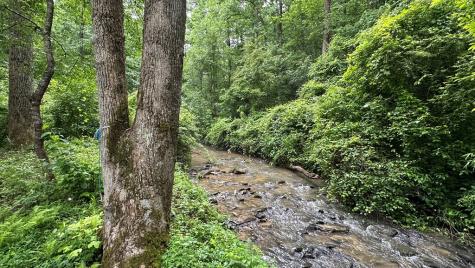 Lot 103 Rhondas Way Ellijay GA 30540