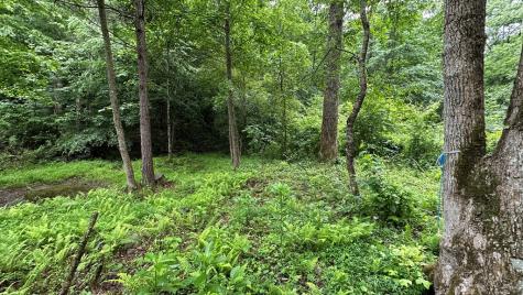 Lot 103 Rhondas Way Ellijay GA 30540