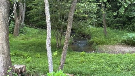 Lot 103 Rhondas Way Ellijay GA 30540