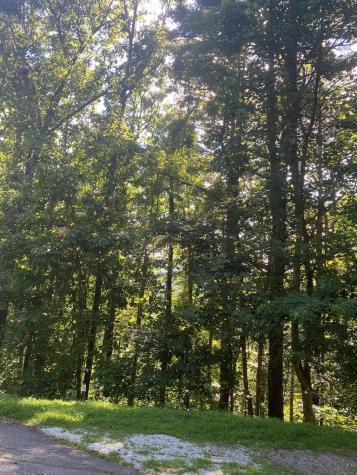 Lot 47 Mountain Top Blairsville GA 30512