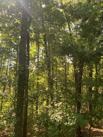 Lot 47 Mountain Top Blairsville GA 30512