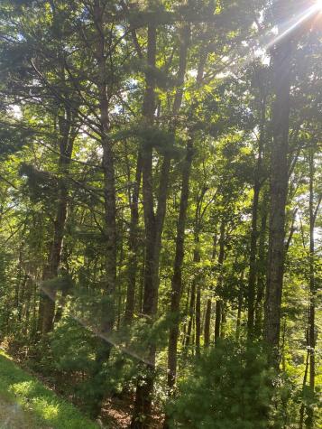 Lot 47 Mountain Top Blairsville GA 30512