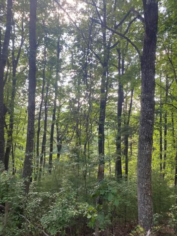 Lot 47 Mountain Top Blairsville GA 30512