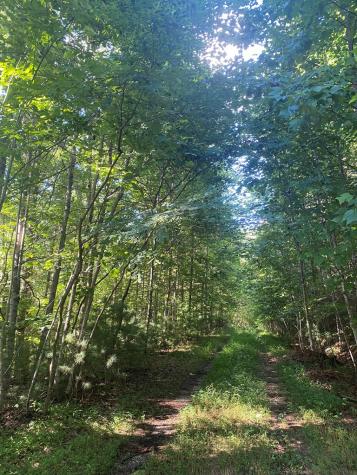 Lot 47 Mountain Top Blairsville GA 30512