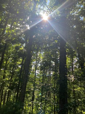 Lot 47 Mountain Top Blairsville GA 30512