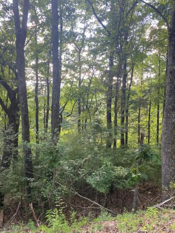 Lot 47 Mountain Top Blairsville GA 30512