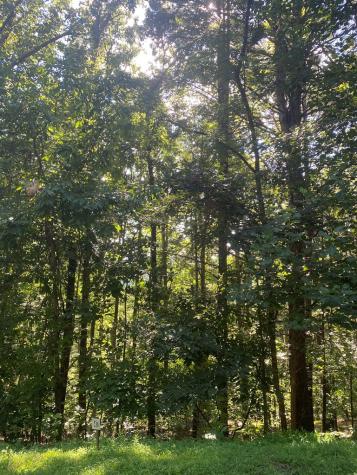 Lot 47 Mountain Top Blairsville GA 30512