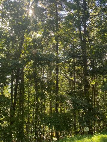 Lot 47 Mountain Top Blairsville GA 30512