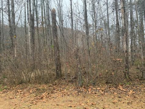 0 Rushing Water Trail Hayesville NC 28904