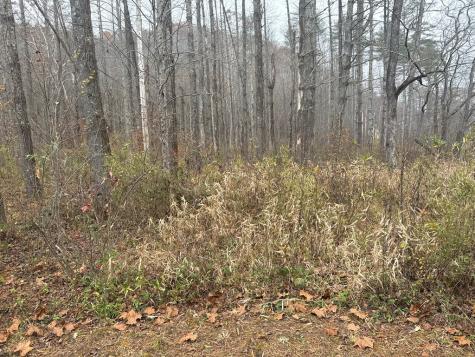 0 Rushing Water Trail Hayesville NC 28904