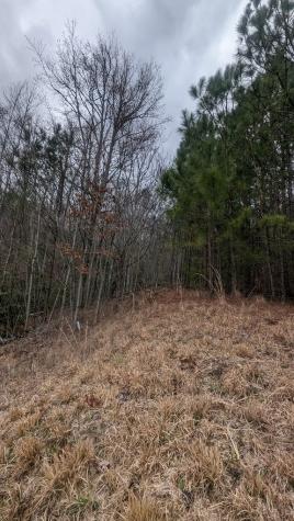 Lot 25 Trailwood Drive Blairsville GA 30512