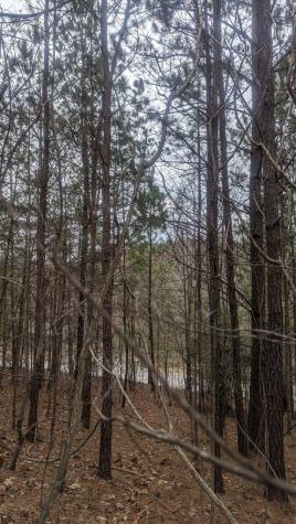 Lot 25 Trailwood Drive Blairsville GA 30512