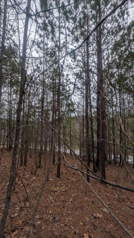Lot 25 Trailwood Drive Blairsville GA 30512