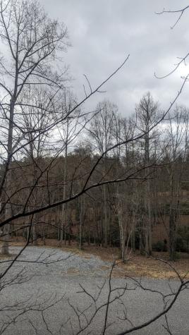 Lot 25 Trailwood Drive Blairsville GA 30512