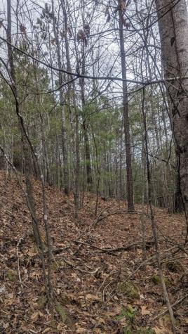 Lot 25 Trailwood Drive Blairsville GA 30512