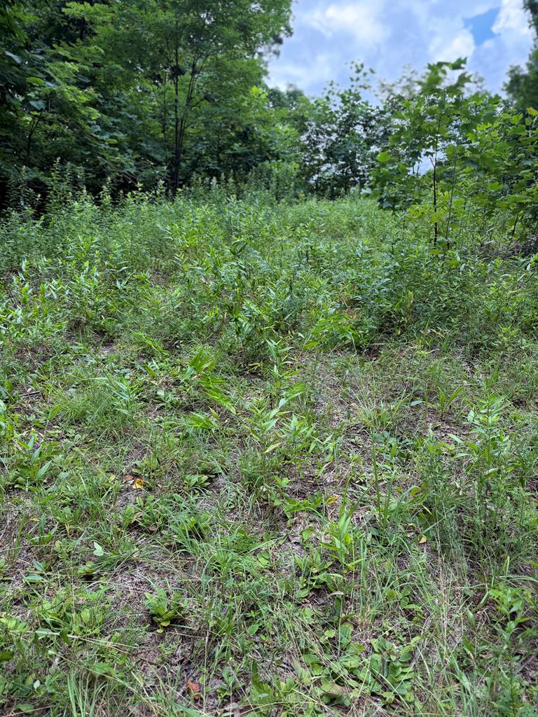 0 Outlook Road Murphy NC 28906