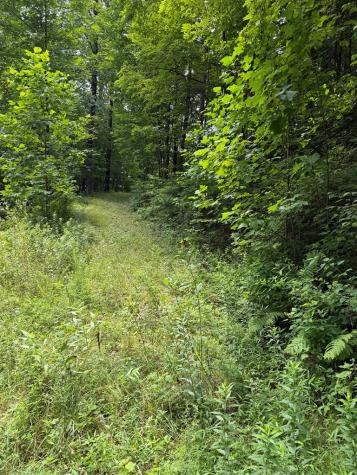 0 Outlook Road Murphy NC 28906