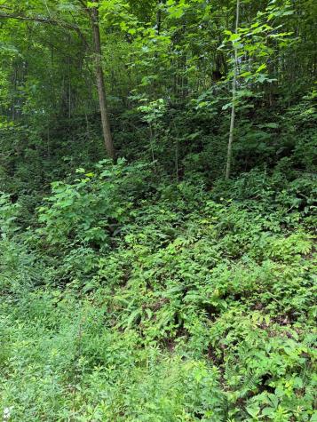 0 Outlook Road Murphy NC 28906