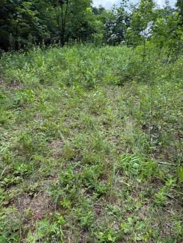 0 Outlook Road Murphy NC 28906
