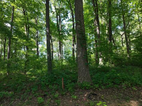 31 Highline Drive Ellijay GA 30536