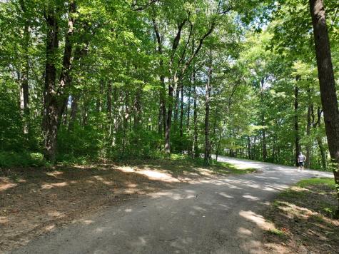 31 Highline Drive Ellijay GA 30536