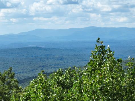 31 Highline Drive Ellijay GA 30536