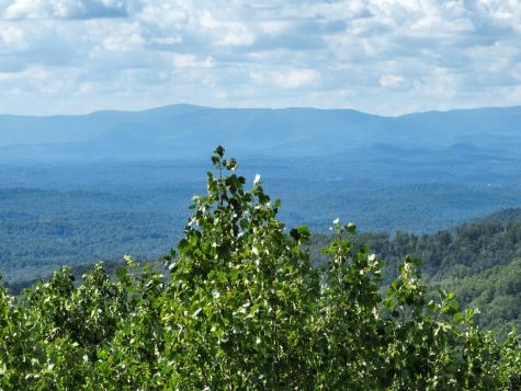 31 Highline Drive Ellijay GA 30536