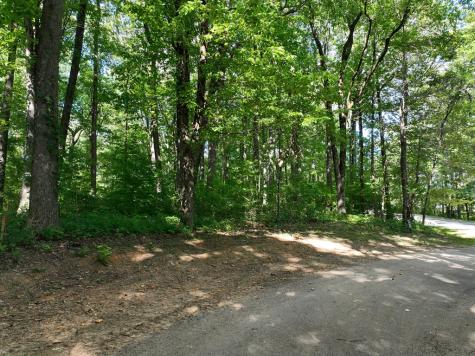 31 Highline Drive Ellijay GA 30536