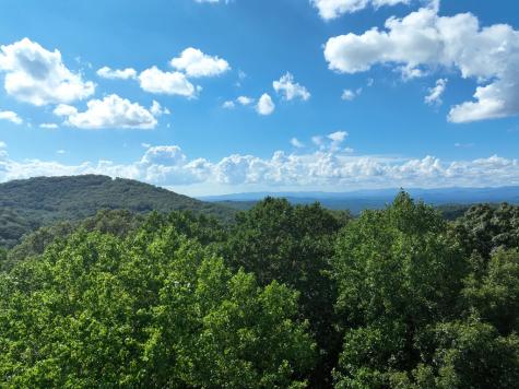 31 Highline Drive Ellijay GA 30536